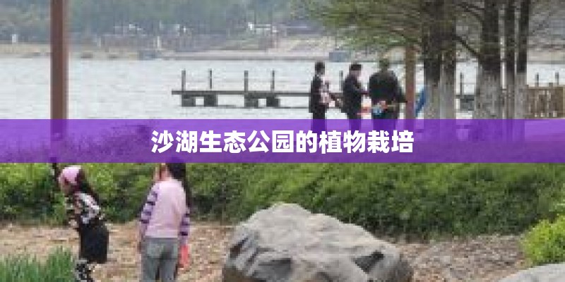 沙湖生态公园的植物栽培