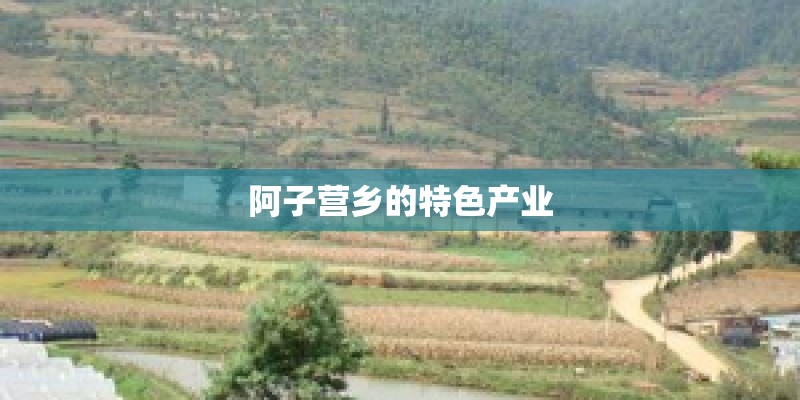 阿子营乡的特色产业