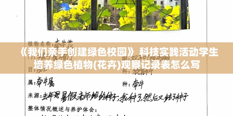 《我们亲手创建绿色校园》 科技实践活动学生培养绿色植物(花卉)观察记录表怎么写