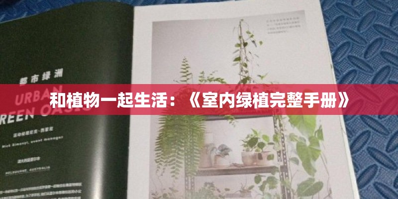 和植物一起生活：《室内绿植完整手册》