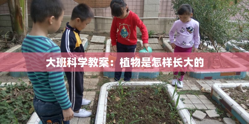大班科学教案：植物是怎样长大的