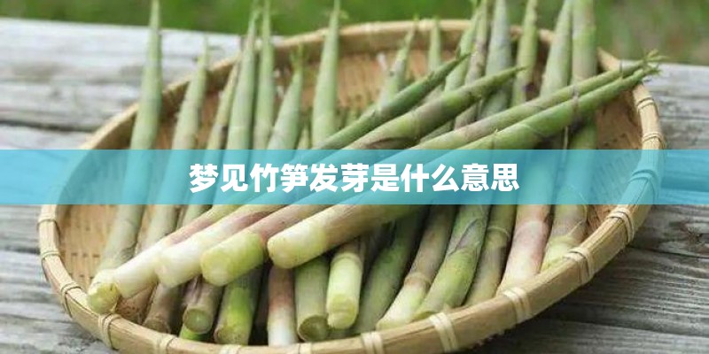 梦见竹笋发芽是什么意思