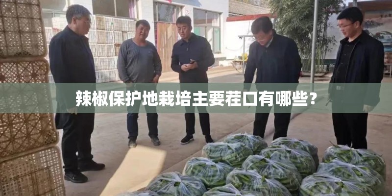 辣椒保护地栽培主要茬口有哪些？