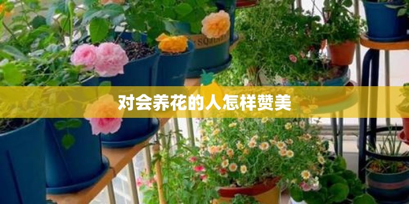 对会养花的人怎样赞美