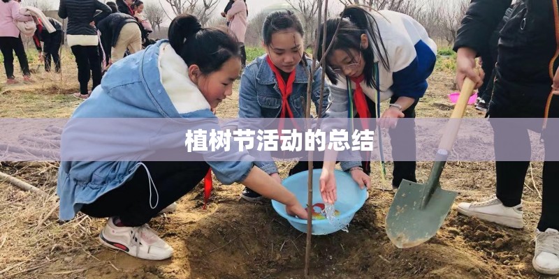 植树节活动的总结