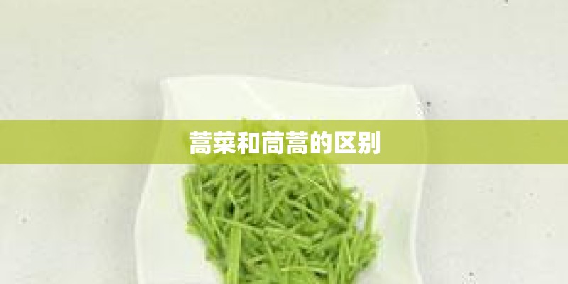 蒿菜和茼蒿的区别