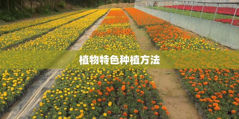 植物特色种植方法