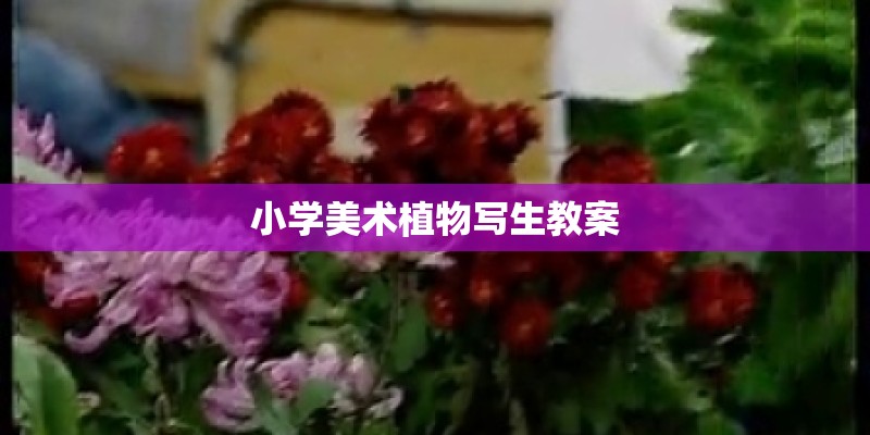 小学美术植物写生教案 小学美术植物写生教案