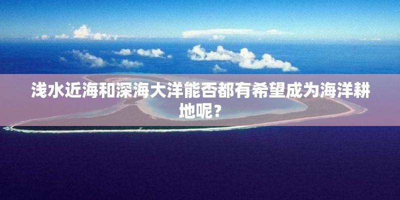 浅水近海和深海大洋能否都有希望成为海洋耕地呢？