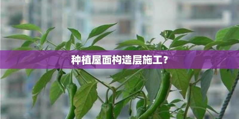 种植屋面构造层施工？