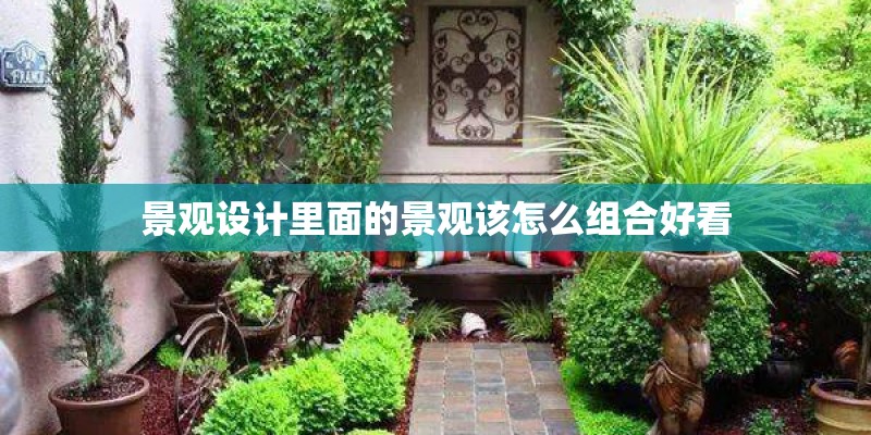 景观设计里面的景观该怎么组合好看