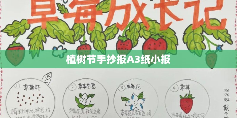 植树节手抄报A3纸小报