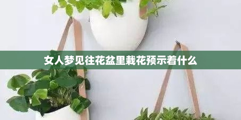 女人梦见往花盆里栽花预示着什么