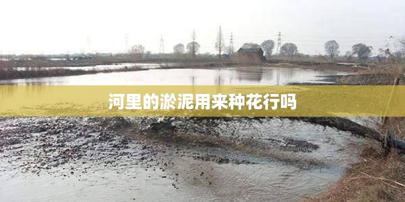 河里的淤泥用来种花行吗
