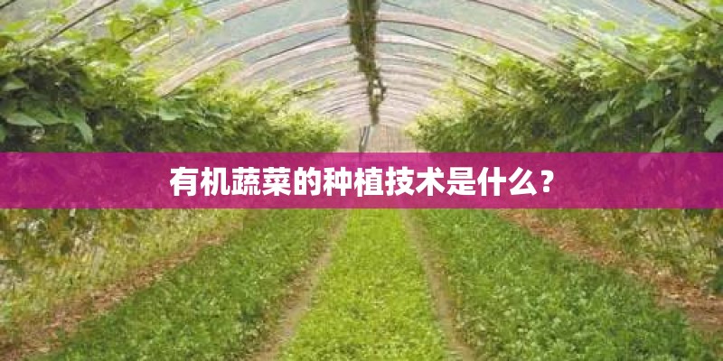 植物生长需要哪些条件? 植物生长需要哪些条件?