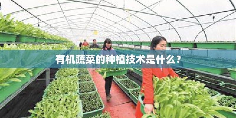 有机蔬菜的种植技术是什么? 有机蔬菜的种植技术是什么?