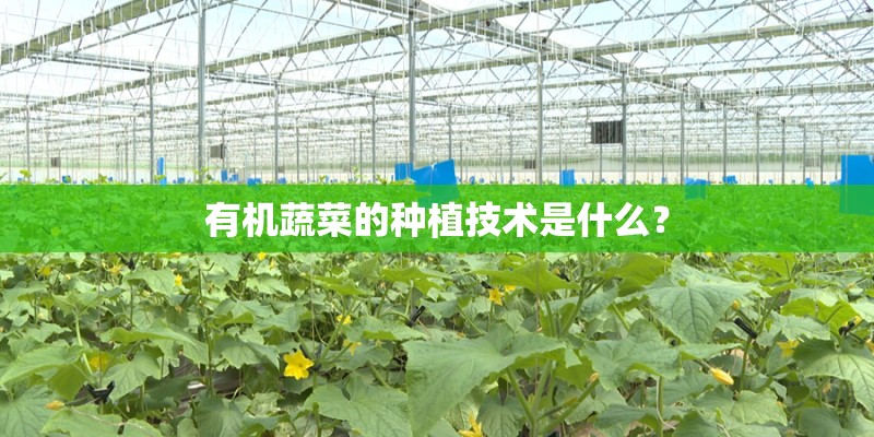 有机蔬菜的种植技术是什么? 有机蔬菜的种植技术是什么?