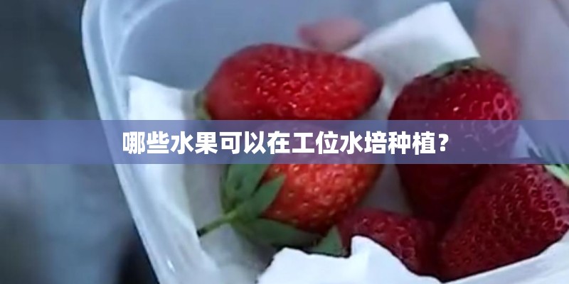 哪些水果可以在工位水培种植? 哪些水果可以在工位水培种植?