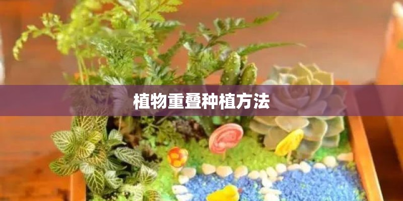 植物重叠种植方法 植物重叠种植方法