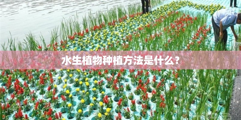 水生植物种植方法是什么? 水生植物种植方法是什么?