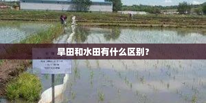 旱田和水田有什么区别？