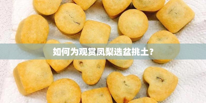 如何为观赏凤梨选盆挑土? 如何为观赏凤梨选盆挑土?