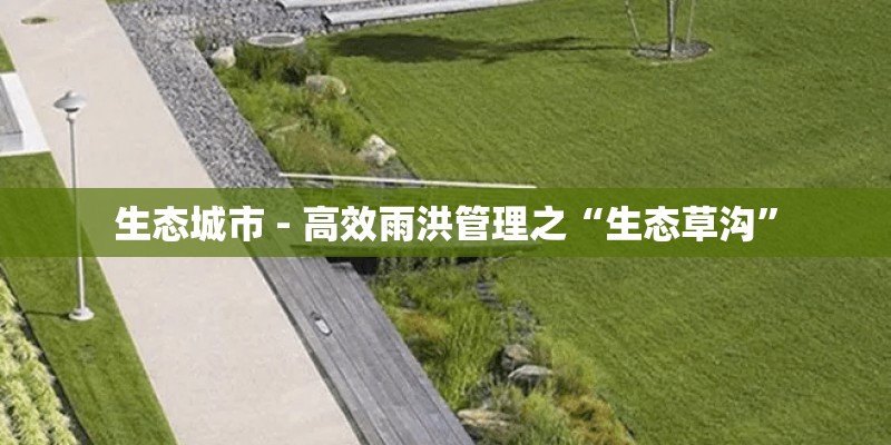 生态城市 - 高效雨洪管理之“生态草沟” 生态城市 - 高效雨洪管理之“生态草沟”