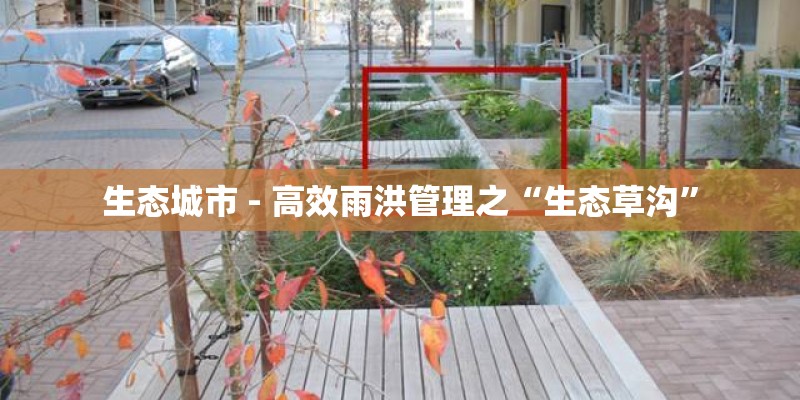 生态城市 - 高效雨洪管理之“生态草沟” 生态城市 - 高效雨洪管理之“生态草沟”